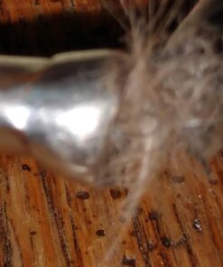 Prestige Super-Beast Dog Tie-Out, 30-Feet 10 61mai9JOB0L