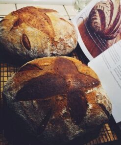 Sourdough: Recipes for Rustic Fermented Breads, Sweets, Savories, and More 32 61marnt1CvL