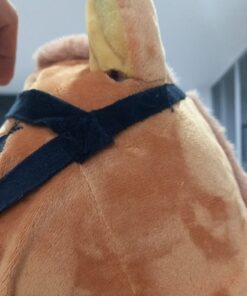 iPlay, iLearn Bouncy Pals Brown Hopping Horse, Toddler Plush Animal Hopper Toy, Kids Inflatable Ride on Bouncer W/Pump, Indoor Outdoor Jumper, Birthday Gifts for 18 24 Months 2 3 Year Old Boys Girls Brown Hopper Horse 46 61mbZbdCRiL