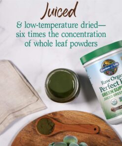 Garden of Life Raw Organic Perfect Food Green Superfood Juiced Greens Powder - Chocolate, 60 Servings, Non-GMO, Gluten Free, Vegan Whole Food Dietary Supplement, Plus Probiotics, Enzymes 60 Servings (Pack of 1) 14 61mhrl1bRfL