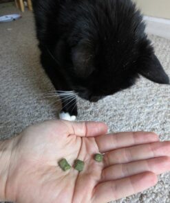 FELINE GREENIES SMARTBITES Skin & Fur Crunchy and Soft Natural Cat Treats, Chicken Flavor, 2.1 oz. Pack 2.1 Ounce (Pack of 1) 42 61mjF8TdvJL