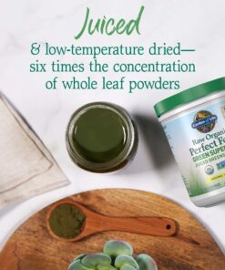 Garden of Life Raw Organic Perfect Food Green Superfood Juiced Greens Powder - Original Stevia-Free, 30 Servings, Non-GMO, Gluten Free Whole Food Dietary Supplement, Alkalize, Detoxify, Energize 30 Servings (Pack of 1) 22 61mjTqdPf4L
