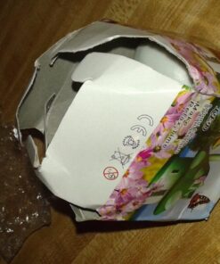 7 Color Romantic Mushroom Christmas LED Night Light Lamp Battery Party Decor ... Style1 62 61mkKwox00L