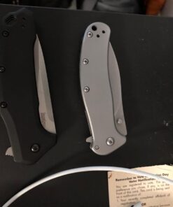 Kershaw Zing SS Pocketknife, 3" 8Cr13MoV Stainless Steel Blade, Assisted Thumb-Stud and Flipper Opening EDC 44 61moijSJybL