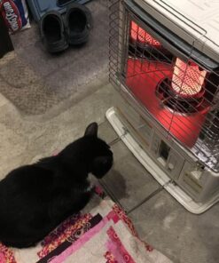 Senoku HeatMate Economic Portable Radiant Kerosene 10,000 BTU Space Heater with Automatic Safety Shut Off for 380 Square Feet of Indoor/Outdoor Spaces 15 61mpX3H0VdL