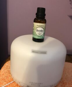 Natural Riches Breathe Essential Oil Blend Breathe Easy with Peppermint Eucalyptus Tea Tree Lemon Cardamom Pine Needle Essential Oils - 30 ml 1 Fl Oz (Pack of 1) 31 61mqKmgKNqL