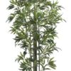 Nearly Natural 5294 Bamboo Silk Tree, 6-Feet, Green, Artificial, Silk 38 61mqtwj2jdL