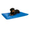 K&H Pet Products Cool Bed III Dog Cooling Mat, Cooling Dog Beds for Small Dogs, Dog Cooling Mat for Dog Carrier, Outdoor Dog Bed Cooling Pad for Dog, Pet Cooling Mat - Blue Small 17 X 24 Inches 24.0"L x 17.0"W x 2.0"Th 47 61mwPmpYES 1