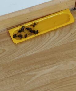 EATON J T 844 4PK Crick/Spid GlueTrap 30 61n2N vtOxL