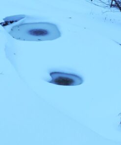 Aquascape 75000 Pond Air 2 (Double Outlet Aeration Kit) 2-Outlet 70 61n3YwVat0L