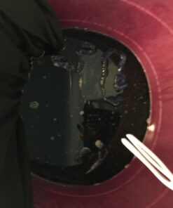 All-Purpose Liquid Dye, Navy Blue 8 oz 40 61n4 jxAvfL