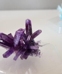 4M 7 Crystal Growing Science Experimental Kit with Display Cases - Easy DIY STEM Toy Lab Experiment Specimens, Educational Gift for Kids, Teens, Boys & Girls 7 Crystals 107 61n6JHnX1RL