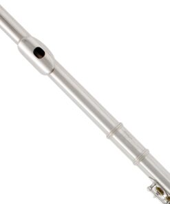 Mendini by Cecilio Premium Grade Closed Hole C Flute with Stand, Book, Deluxe Case and Warranty (Nickel Plated) 12 61n98IEb3XL