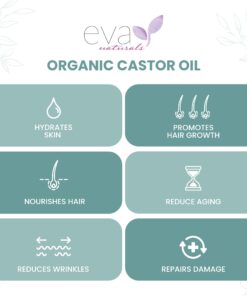 Eva Naturals Organic Castor Oil (2oz) - Promotes Hair, Eyebrow and Lash Growth - Diminishes Wrinkles and Signs of Aging - Organic Castor Oil for Hair Growth Eyelashes - Hair Growth Oil 100% Pure 2 Fl Oz (Pack of 1) 21 61n9zjPWlLL