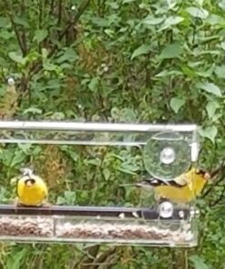 Wild Birds of Joy Window Bird Feeder with 4 Super Strong Suction Cups & Sliding Seed Tray, Large, Clear Acrylic, Easy Clean, Outdoor Bird Feeders, Outside View Up Close of Finch, Cardinal and Blue Jay 48 61nBK5FpwnL