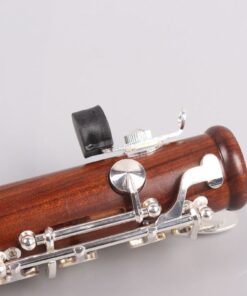 Yinfente Intermediate B-Flat Clarinet Rosewood wood Body Silver Plate Bb Key 17 key Case + Reeds + Pads 14 61nCd1v wKL