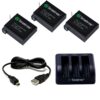 Smatree Battery (3 Pack) and 3-Channel Charger Compatible for Gopro Hero 4 (NOT for Hero 5) 27 61nCtMP0uvL