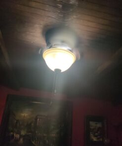 Hunter Fan Company, 51023, 42 inch Conroy Onyx Bengal Low Profile Ceiling Fan with LED Light Kit and Pull Chain Onyx Bengal finish 28 61nF7CFe1IL