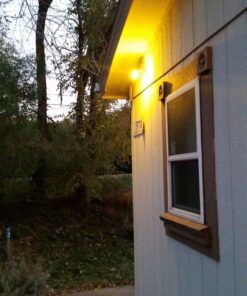 TCP 5W Equivalent LED Yellow Bug Light Bulbs, Non-Dimmable 1 Count (Pack of 1) 25 61nLE79m yL