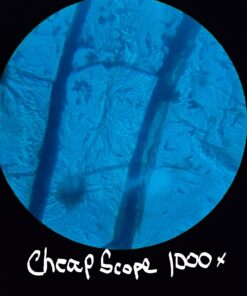 AmScope M150C-I 40X-1000X All-Metal Optical Glass Lenses Cordless LED Student Biological Compound Microscope 59 61nVbUBzxcL