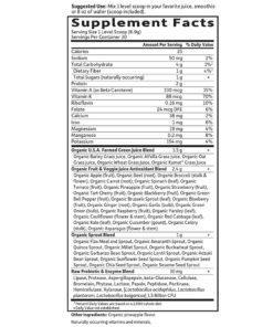 Garden of Life Raw Organic Perfect Food Green Superfood Juiced Greens Powder - Original Stevia-Free, 30 Servings, Non-GMO, Gluten Free Whole Food Dietary Supplement, Alkalize, Detoxify, Energize 30 Servings (Pack of 1) 24 61nWJNMWF L