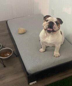 Burt's Bees Baby - Fitted Crib Sheet, Solid Color, 100% Organic Cotton Crib Sheet for Standard Crib and Toddler Mattresses (Heather Grey) , 28x52 Inch (Pack of 1) Heather Grey 27 61nY7xf34 L