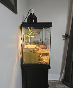 Tetra Decorative ReptoFilter, Terrarium Filtration, Keeps Water Clear 34 61nYnnoWuLL