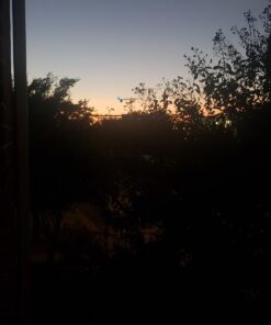 Bushnell H2O Waterproof/Fogproof Compact Roof Prism Binocular Black, 8x25mm 35 61na8owbKTL