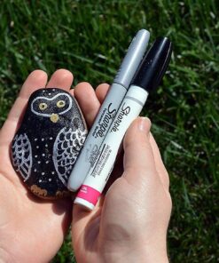 SHARPIE Oil-Based Paint Markers, Fine Point, Assorted Colors, 5 Count - Great for Rock Painting Classic Assorted 5 Count (Pack of 1) Fine Tip 30 61nazivLnL