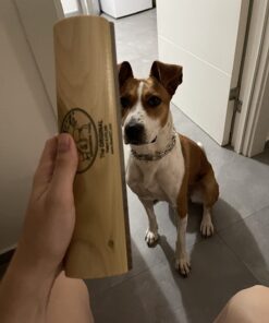 SleekEZ Original Deshedding Grooming Tool for Dogs, Cats & Horses - Undercoat Brush for Short & Long Hair - Painlessly Remove 95% of Loose Hair, Fur & Dirt - Easy to Clean - USA Made - (10 inch) 10 Inch (Pack of 1) 29 61ncph5IanL 3