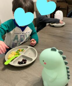 Lumipets Animal Kids Silicone Nursery Light for Baby and Toddler, Squishy Night Light for Kids Room, Animal Night Lights for Girls and Boys, Kawaii Lamp, Cute Lamps for Bedroom (Bear) Bear 41 61niIki87FL