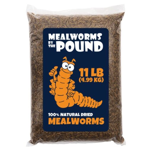 MBTP Bulk Dried Mealworms - Treats for Chickens & Wild Birds (11 Lbs)