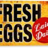 Tinworld Tin Sign Fresh Eggs Ld Rustic Chicken Coop Metal Sign Decor Kitchen Cottage Farm A127 16 61o4R5QU9RL