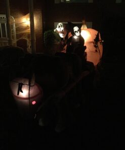 11.5 Foot Long Inflatable Grim Reaper Driving Pumpkin Carriage 30 61o6kKdYCAL