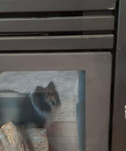 Rust-Oleum 248903 12-Ounce 2000 Degree, Flat Black Automotive High Heat Spray Paint, 12 Ounce (Pack of 1) 12 Ounce (Pack of 1) 21 61oBNuClAQL