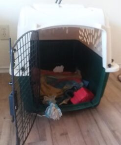 Petmate Ruffmaxx Dog Kennel Pet Carrier & Crate 28" (20-30 Lb), Outdoor and Indoor for Large, Medium, and Small Dogs - Made from Durable Recycled Material w/ 360-Degree Ventilation, Made in USA Almond & Green 28.0"L x 21.5"W x 20.5"H 17 61oJ7QdnNbL