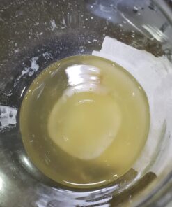 Jun Kombucha Starter Culture - USDA Certified Organic Jun SCOBY & Starter Tea - Makes 1 Gallon - Brewed with Organic Green Tea & Honey - Brew Jun Tea! 35 61oMXsNz5fL