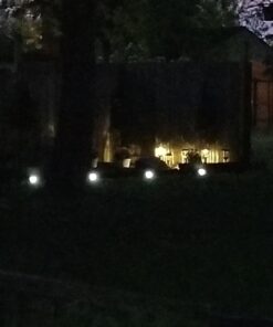 IdeaWorks JB7356 Solar Paw Print Outdoor Lights, Black 43 61oP4rDOoNL