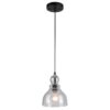 Westinghouse Lighting 6100800 Fiona Mini Pendant, 1 Light, Black