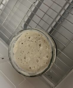 Brod & Taylor Folding Proofer & Slow Cooker (Proofer) 47 61ob2YY9QqL