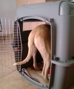 Petmate Sky Kennel, 36 Inch, IATA Compliant Dog Crate for Pets 50-70lbs, Made in USA Kennel Only 72 61ofD6 s5UL