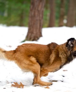 HyperWhistle The Original Worlds Loudest Whistle up to 142db Loud, Very Long Range, for Referee, Coaches, Instructors, Sports, Teachers, Life Guard, Self Defense, Survival, Emergency uses black 63 61ofNHASn8L