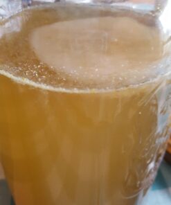 Jun Kombucha Starter Culture - USDA Certified Organic Jun SCOBY & Starter Tea - Makes 1 Gallon - Brewed with Organic Green Tea & Honey - Brew Jun Tea! 41 61oguppC0zL
