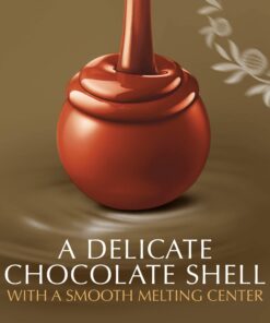 Lindt LINDOR 4 Flavors Assorted Truffles, 19 oz. Bag 19 Ounce (Pack of 1) 12 61ohaBehhwL