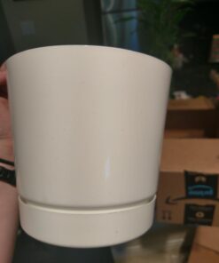 Novelty Majestic Full Depth Round Cylinder Pot, Glossy White, 6-Inch (10062) 34 61oiYMZ1siL