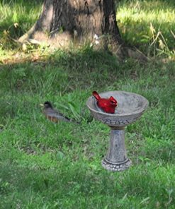 G & F Products MiniGardenn 10027 Fairy Garden Polyresin Miniature, Cardinal Birdbath Pick 21 61okTC5UcKL