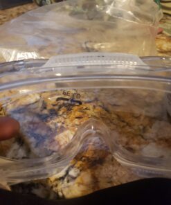 Neiko Pro 53875B Clear Protective Lab Safety Goggles, Chemistry Lab Goggles, Scientific, Construction Goggles, Contractor, Woodworking, Anti-Fog and Splash, Includes Indirect Vent for Men and Women 29 61okZvsLlTL