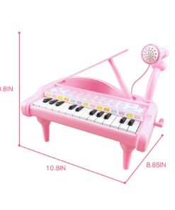 Love&Mini Piano Toy Keyboard for Kids Birthday Gift Age 1+ Pink 24 Keys Toddler Piano Music Toy Instruments with Microphone 24 Keys Pink 37 61oz841 aSL