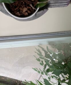 Cat 6 Ethernet Cable 15 ft, Outdoor&Indoor 10Gbps Support Cat7 Network, Flat Internet RJ45 LAN Patch Cords, Solid Cat6 High Speed Computer Wire with Clips for Router, Modem, PS4/5, Xbox, Gaming, White 15ft 32 61p3fTZ6jnL