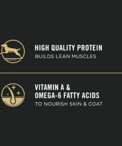 Purina Pro Plan High Protein Dry Puppy Food, Chicken and Rice Formula - 6 lb. Bag Chicken & Rice 22 61p5ITUnlL